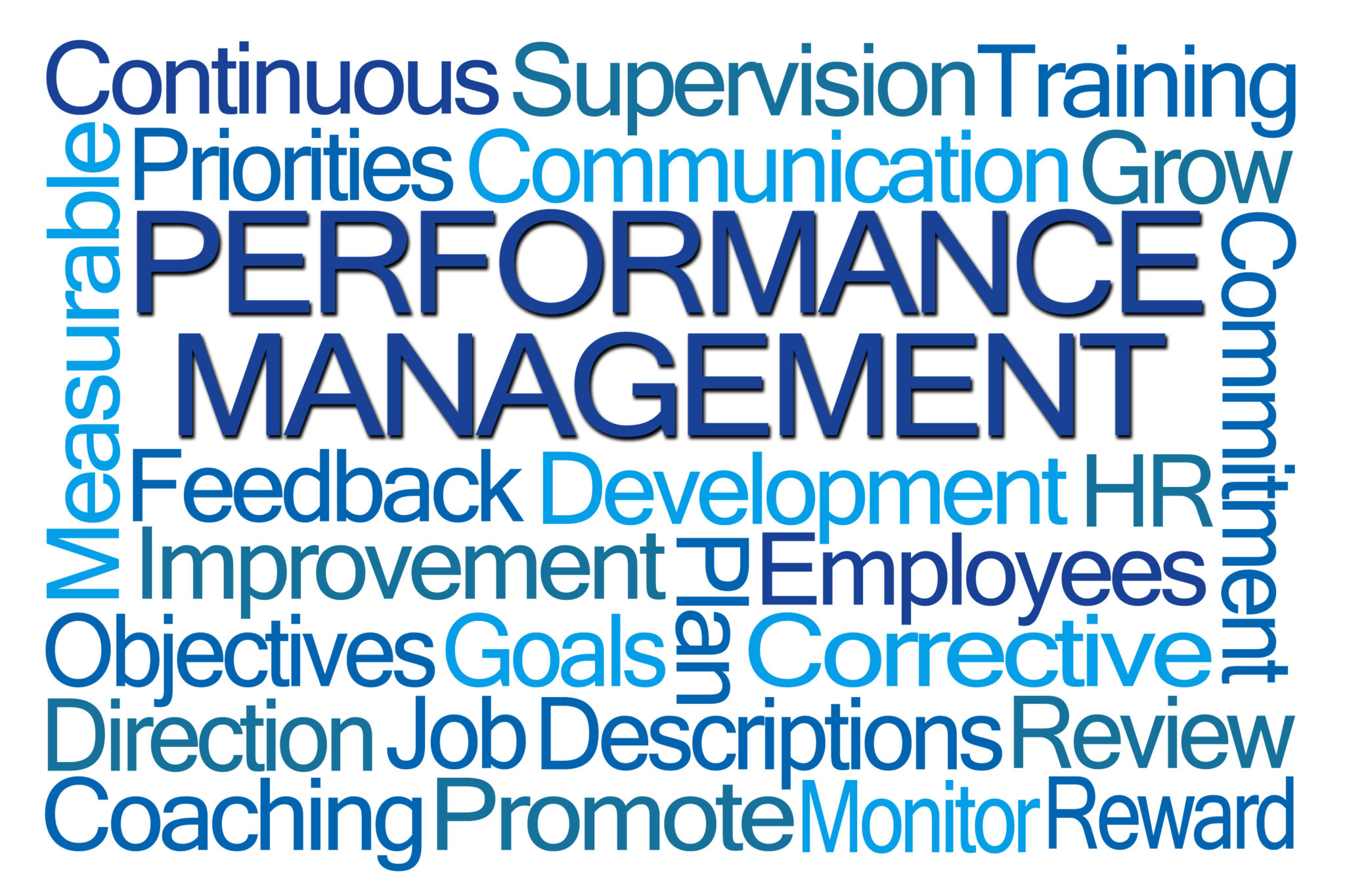 Perform meaning. Система Performance Management. Performance Management. Manager Words. Developmental feedback.