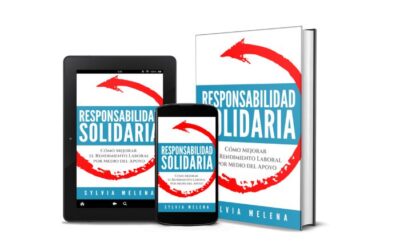 Libro de Responsabilidad Solidaria