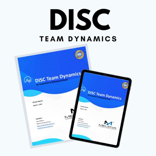 DISC Team Dynamics Report