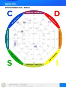 DISC Team Wheel – LeadershipStrength.com