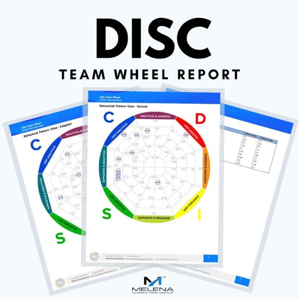 DISC Team Wheel – LeadershipStrength.com