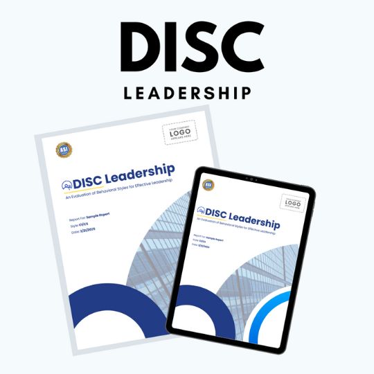 DISC Leadership Report Image