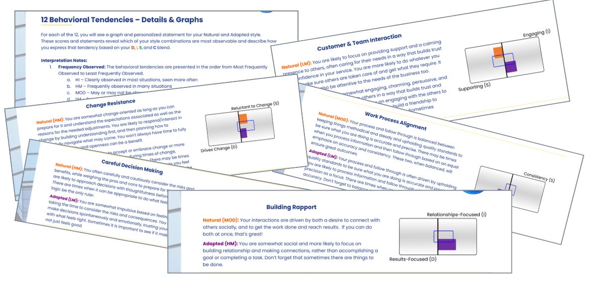 12 DISC Dimensions of Leadership Effectiveness