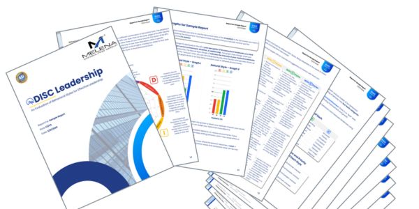 DISC Leadership Report