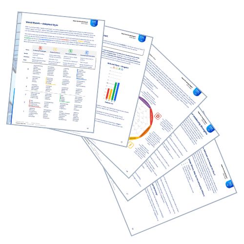 DISC Self Report Pages